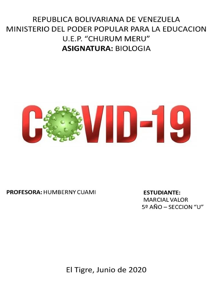 Infografia Del COVID 19 (Marcial) | PDF | Ciencias De La Salud | Salud Pública