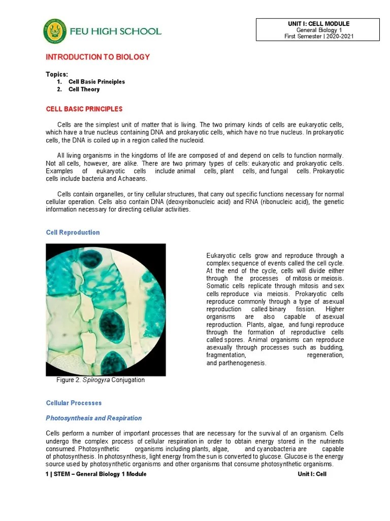 Module 2 - Basic Principles Of Cell & Cell Theory | PDF | Cell (Biology ...