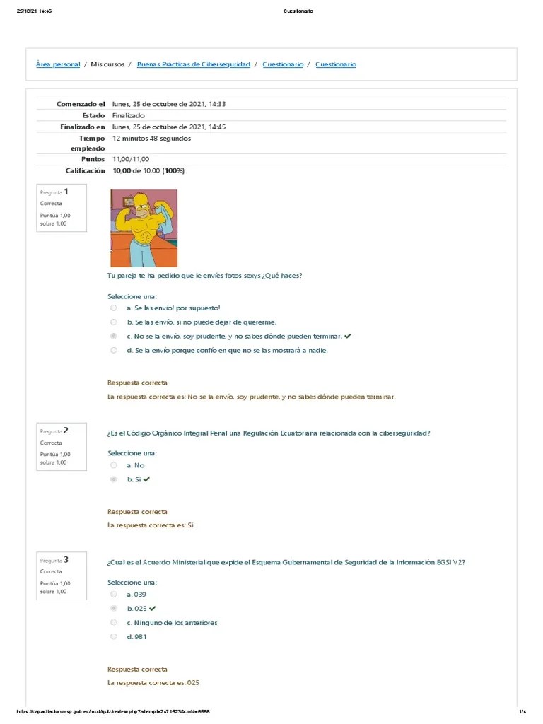 Cuestionario Ciberseguridad | PDF | Suplantación De Identidad | Tecnologías De La Información