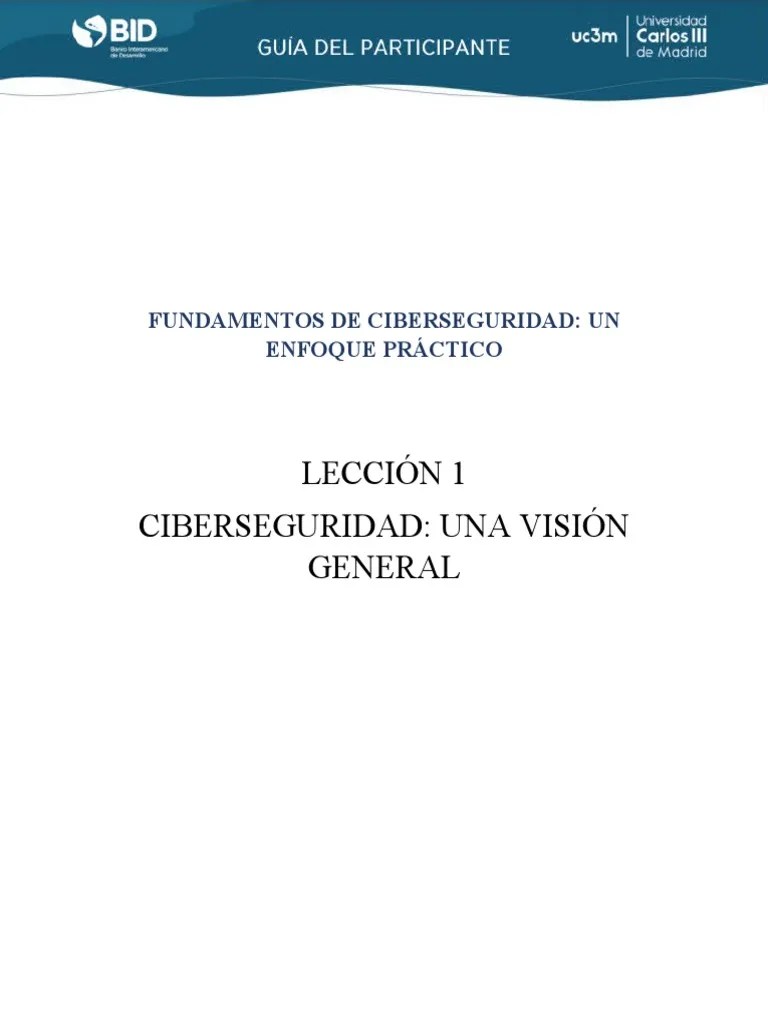 Fundamentos De Ciberseguridad | PDF