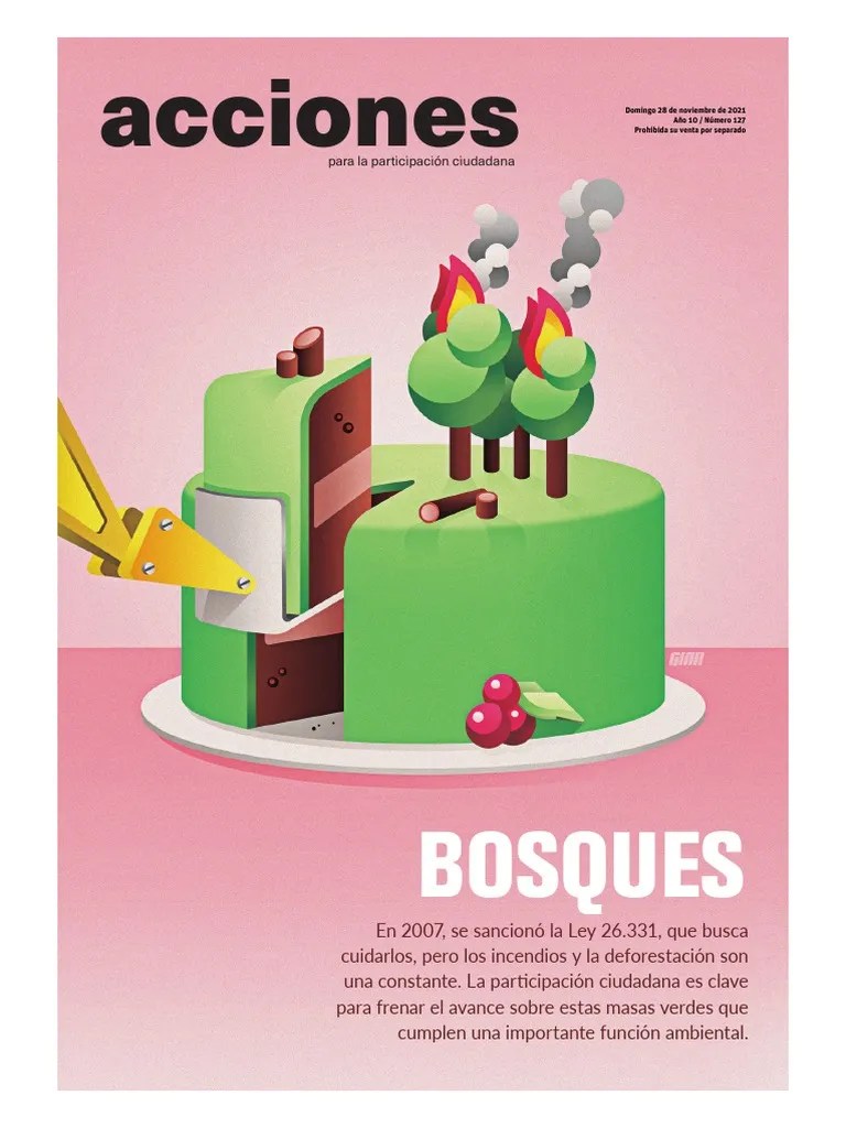 Bosques | PDF | Deforestación | Los Bosques