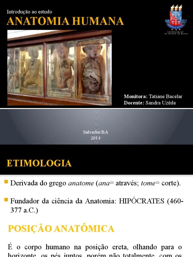 1 Introdução Anatomia Humana | PDF | Anatomia | Corpo Humano