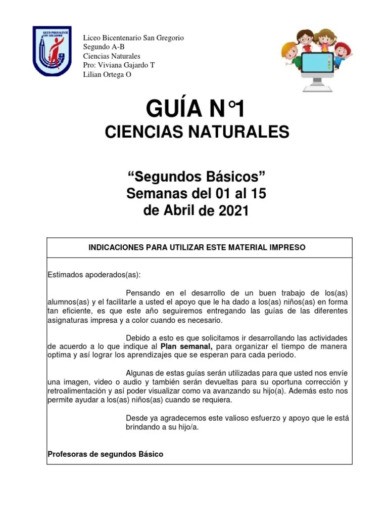 Guía 1 Ciencias Naturales | PDF | Temporada De Primavera) | Cielo