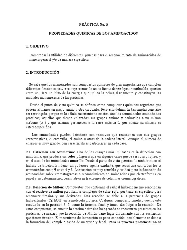 Practica De Laboratorio No. 6 (Final) | PDF | Proteínas | Péptido