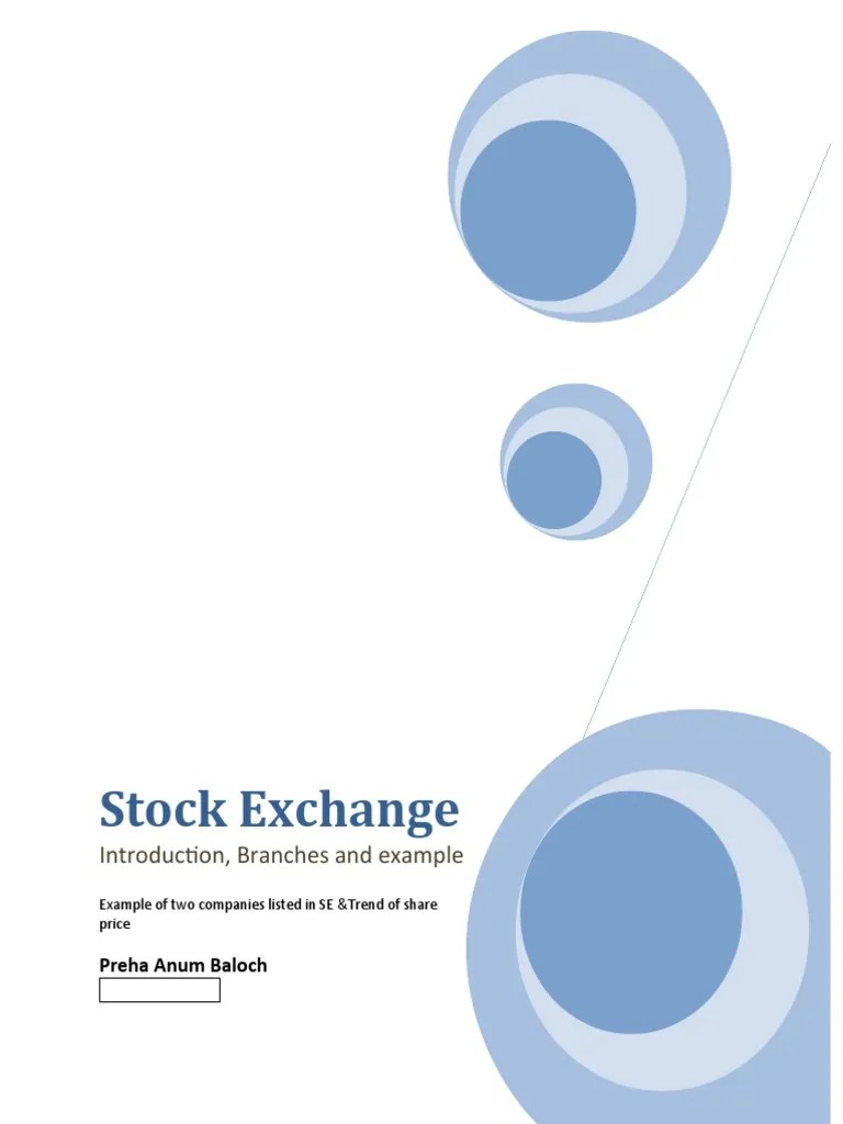 Stock Exchange: Introduction, Branches And Example | PDF | Stocks ...