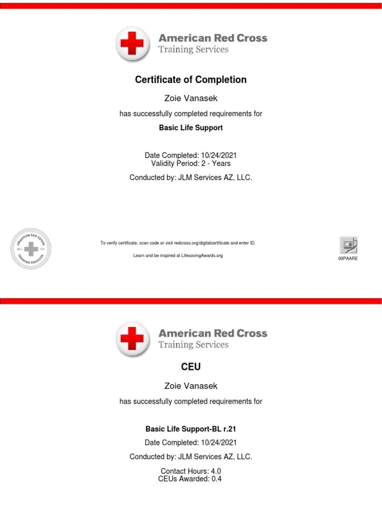 Red Cross Bls Certificate | PDF