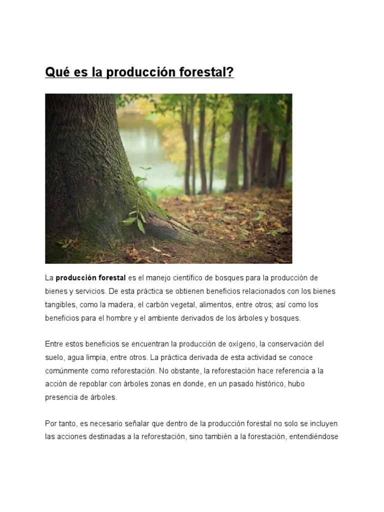 Producción Forestal | PDF | Los Bosques | Arboles