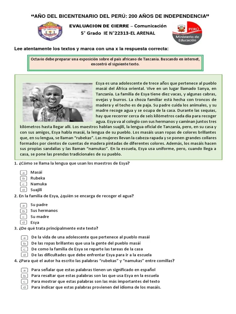 Evaluacion De Comunicacion | PDF | Gatos