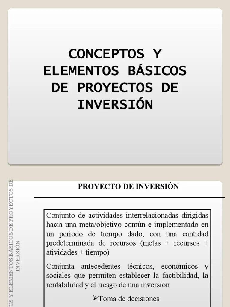Proyecto De Inversion | PDF | Inversiones | Diseño