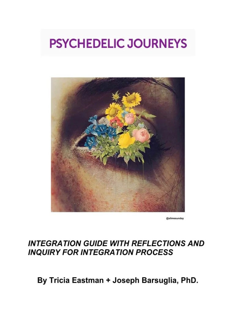 Psychedelic Integration + Reflections | PDF | Meditation | Stimulant