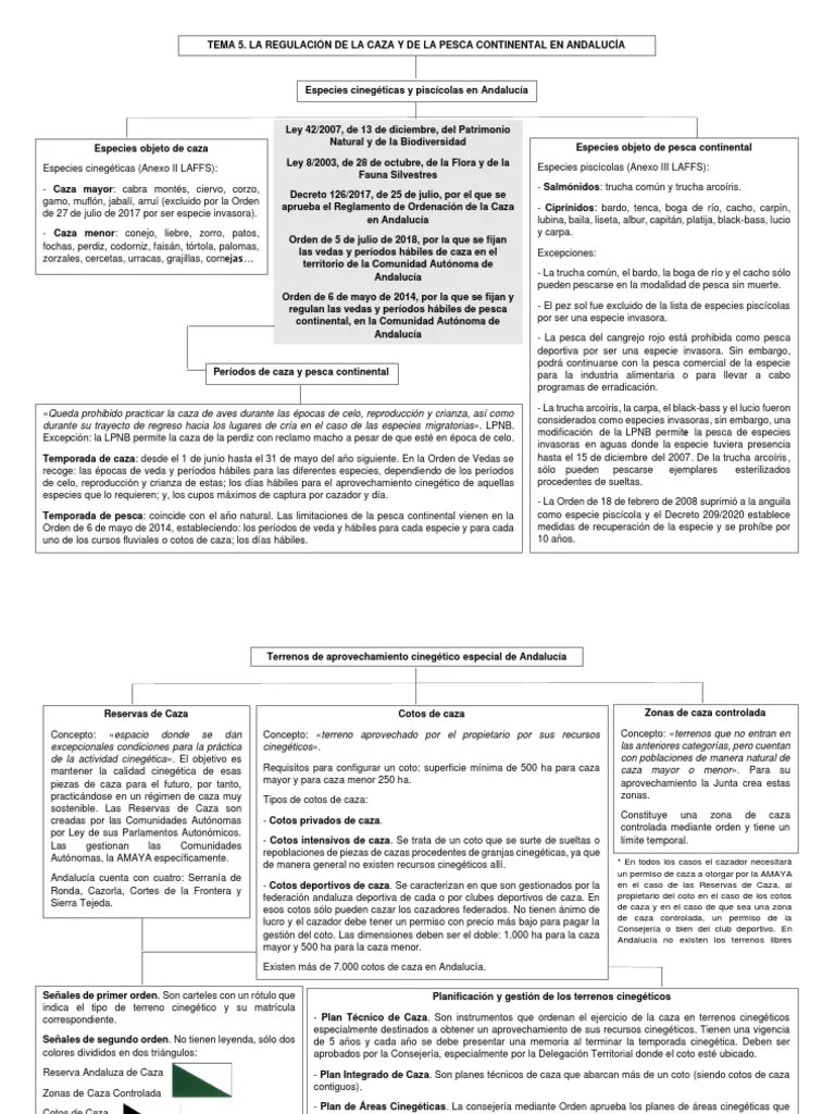 Regulación Caza Y Pesca En Andalucía | PDF | Caza | Fauna Silvestre