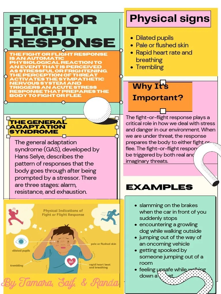 Fight Or Flight Response | PDF