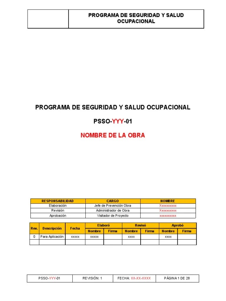 Programa De Seguridad Y Salud Ocupaciona | PDF | Seguridad Y Salud Ocupacional | Ciencias De La ...