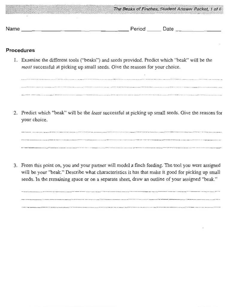 Maybe you would like to learn more about one of these? Beaks of Finches Answer Packet | Natural Selection ...