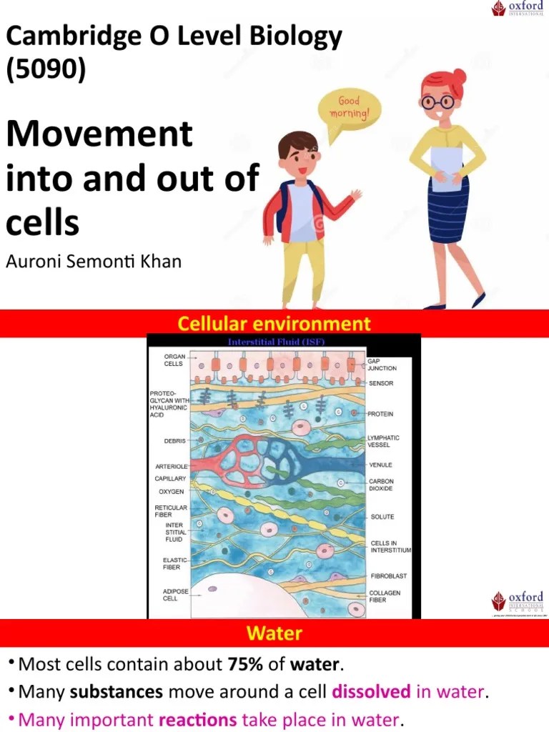 Cambridge O Level Biology (5090) : Movement Into And Out Of Cells | PDF | Osmosis | Diffusion