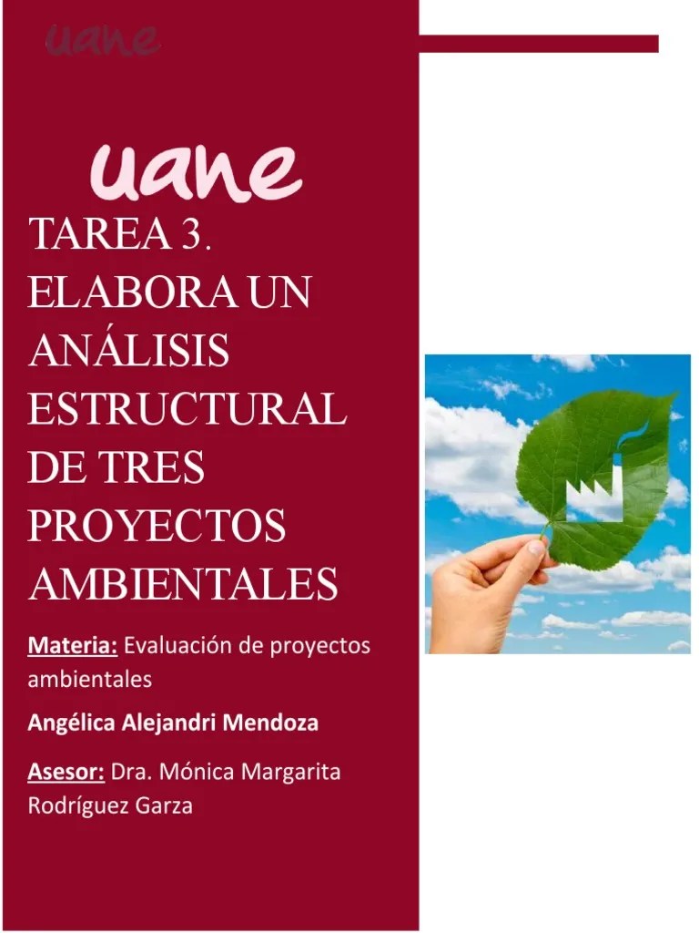 Análisis Estructural De Tres Proyectos Ambientales | PDF | Contaminación | Remediación Ambiental