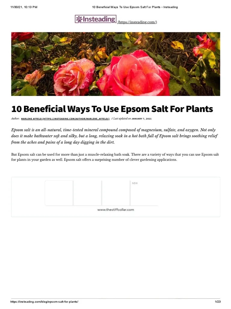 10 Beneficial Ways To Use Epsom Salt For Plants - Insteading | PDF | Soil | Fertilizer