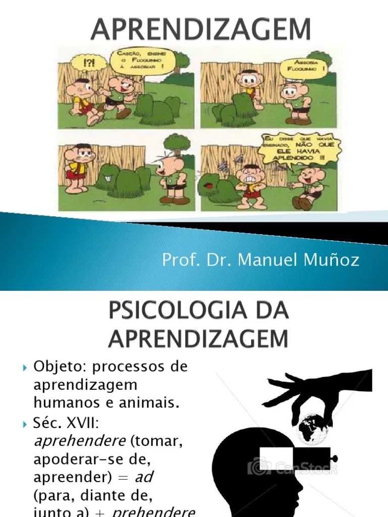 O Que É Aprendizagem | Download Grátis PDF | Aprendizado | Humano