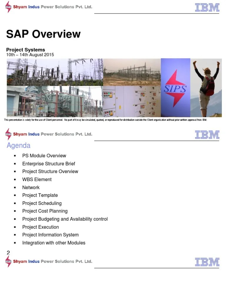 SAP PS Overview | PDF | Business | Economies