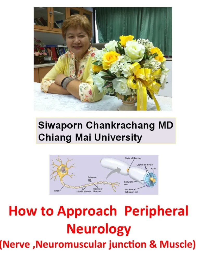 Approach For Peripheral Neurology 31 May 2011 | PDF | Neuromuscular ...
