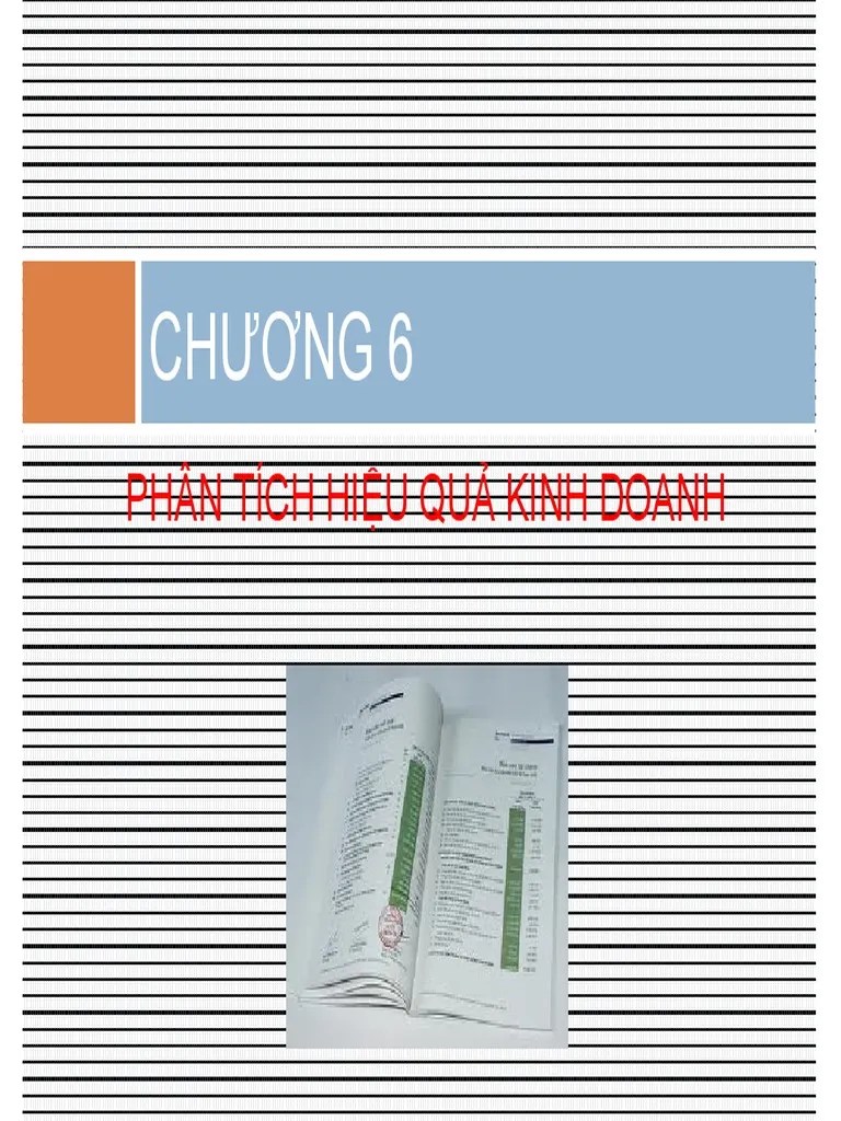 Phân Tích Hiệu Quả Kinh Doanh | PDF