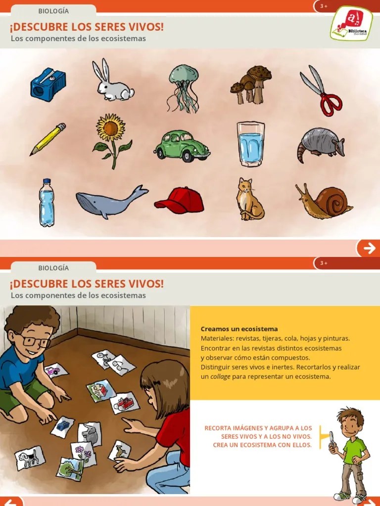 LOS - SERES - VIVOS. Ecosistemas | Descargar Gratis PDF | Ecosistema | Plantas