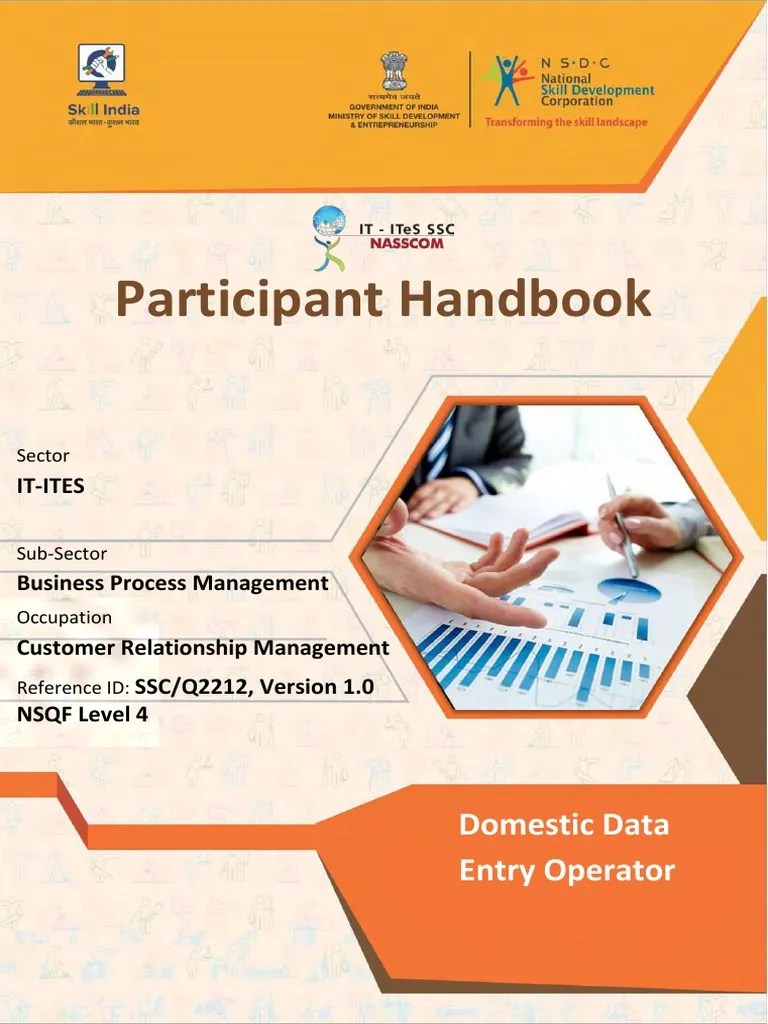 Domestic Data Entry Operator | PDF | Outsourcing | Personal Computers