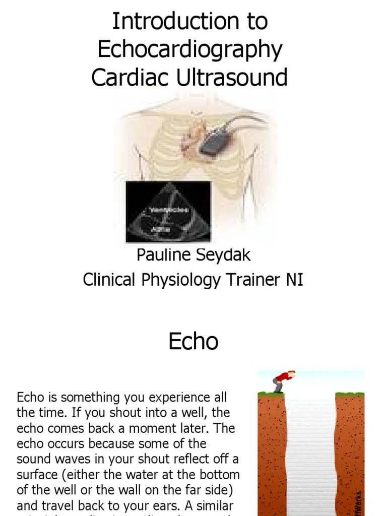 Introduction To Echocardiography 2 | PDF | Heart Valve | Ventricle (Heart)