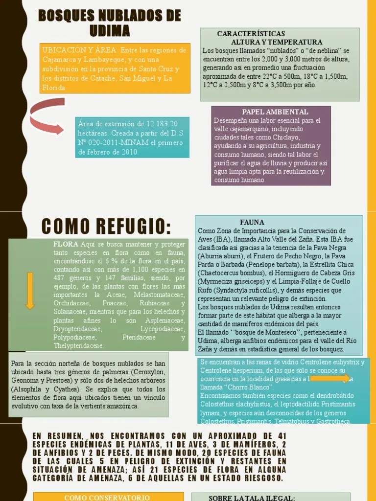 Bosques Naturales | PDF | Organismos