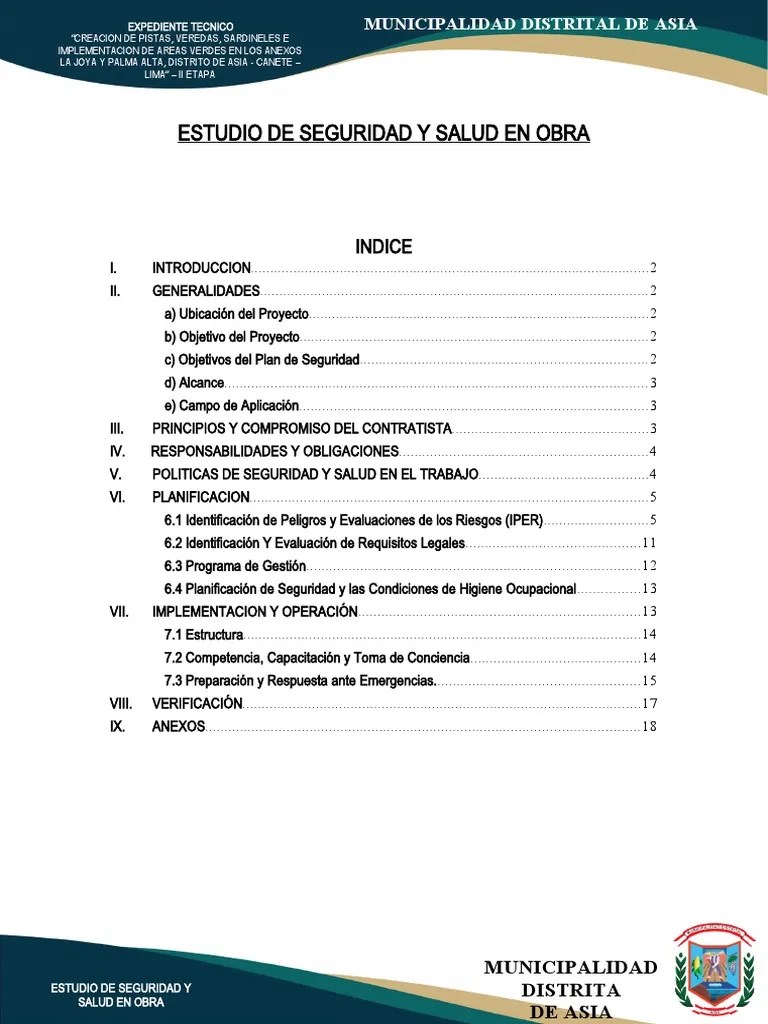 Seguridad Y Salud En El Trabajo | PDF | Seguridad Y Salud Ocupacional | Planificación