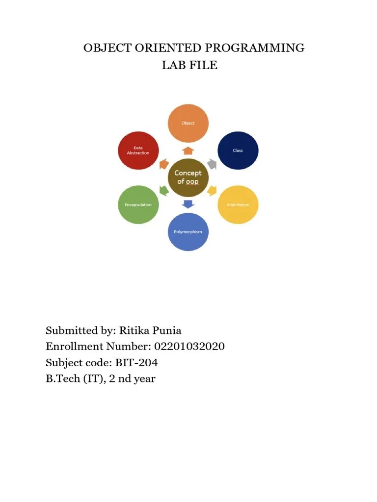Object Oriented Programming Lab File | PDF | C++ | Inheritance (Object ...