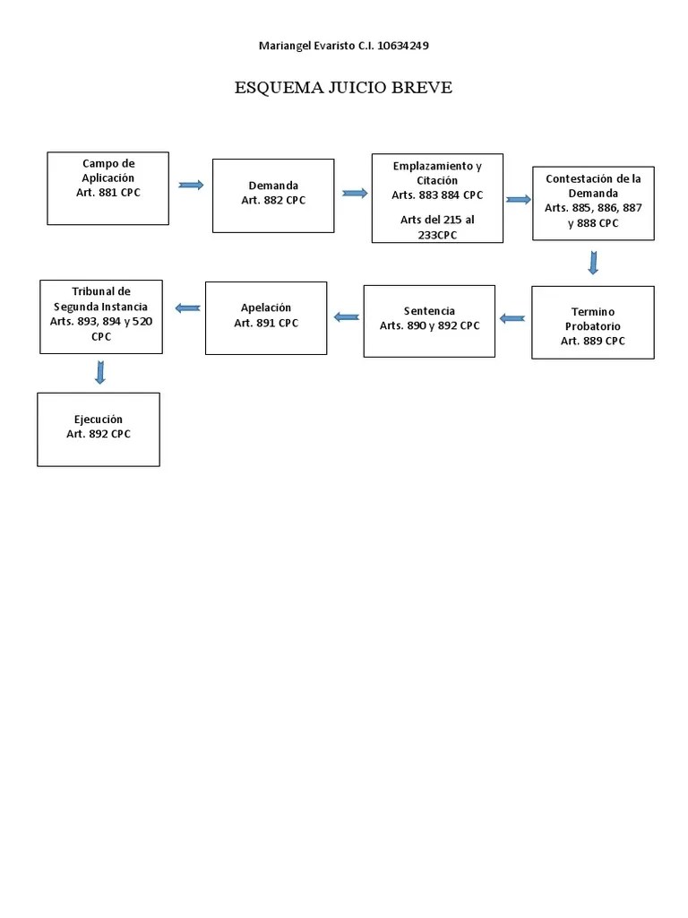 Esquema Juicio Breve Y Juicio Oral | PDF | Sentencia (ley) | Ley Común