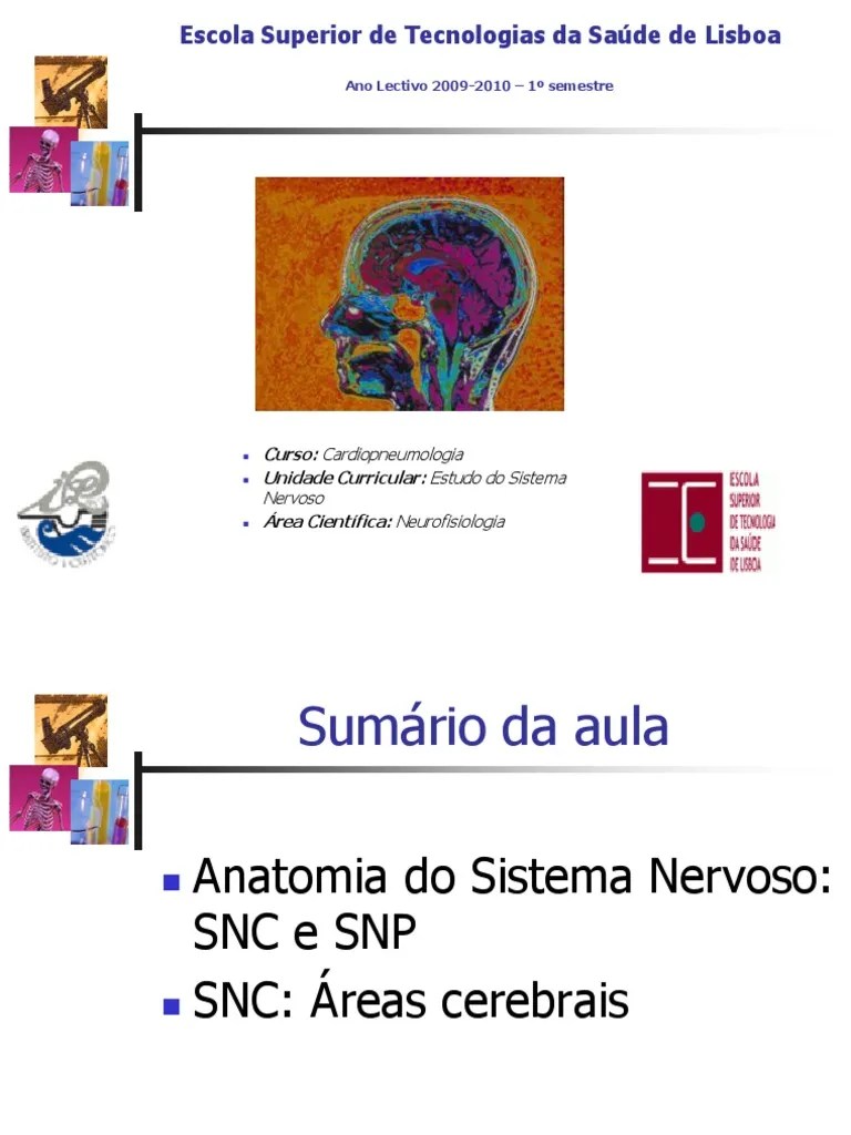 Anatomia Do Sistema Nervoso Central - Parte 1 | PDF | Sistema Nervoso ...