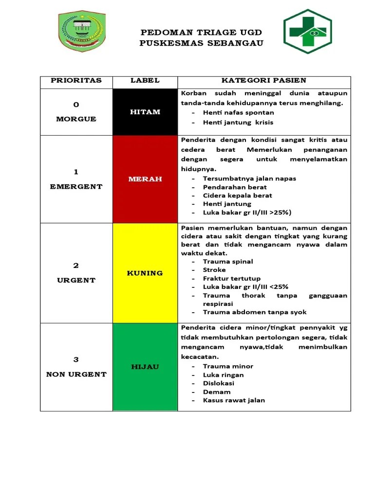 Triage Emergency Room | PDF