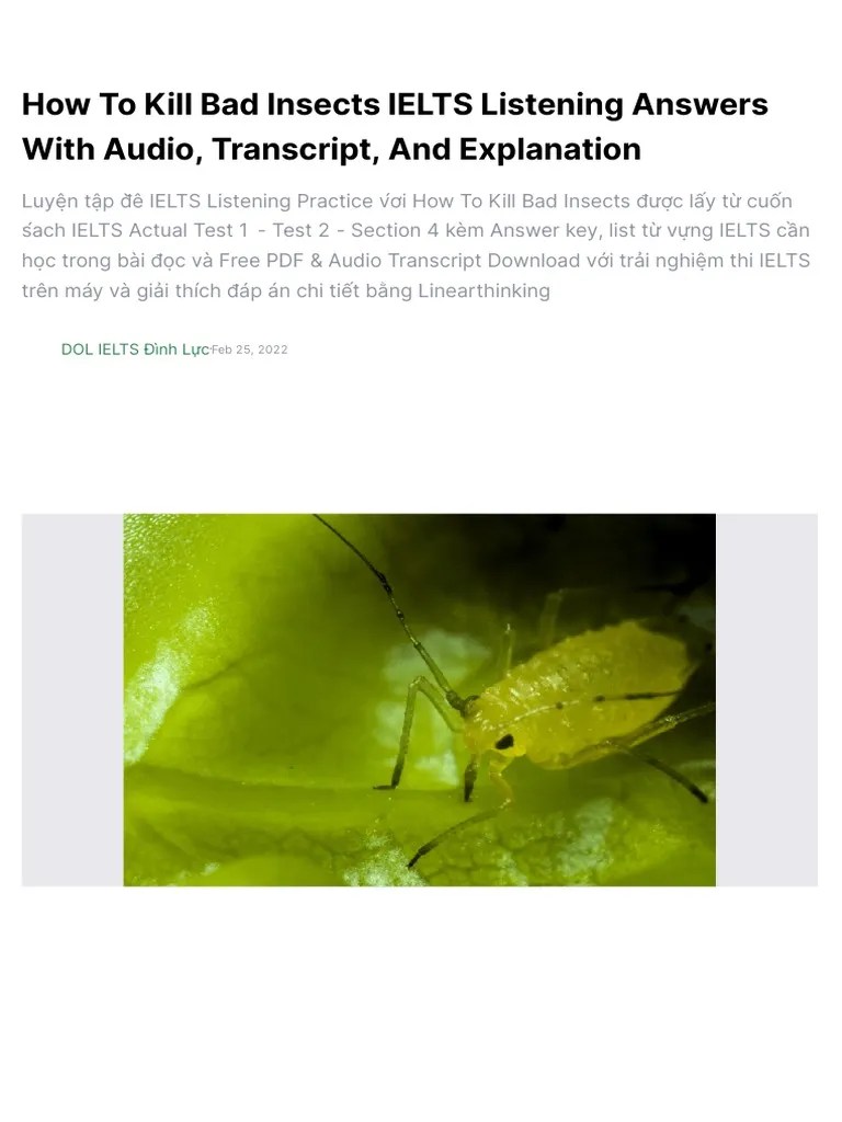 How To Kill Bad Insects IELTS Listening Answers With Audio, Transcript ...