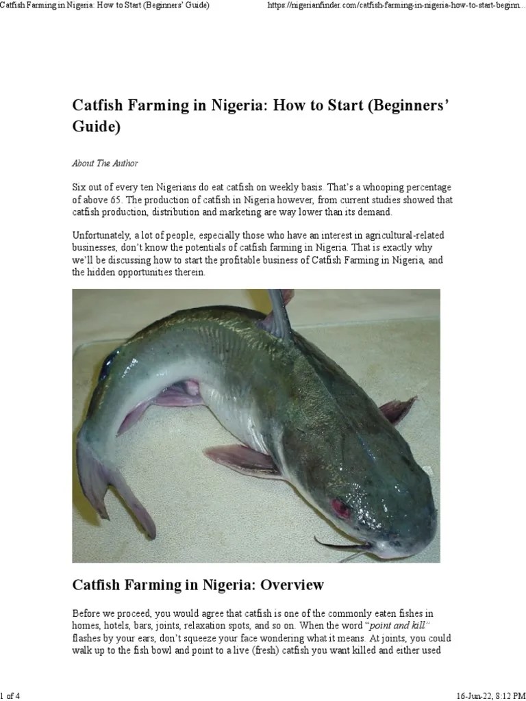 Catfish Farming In Nigeria How To Start (Beginners' Guide) | PDF ...