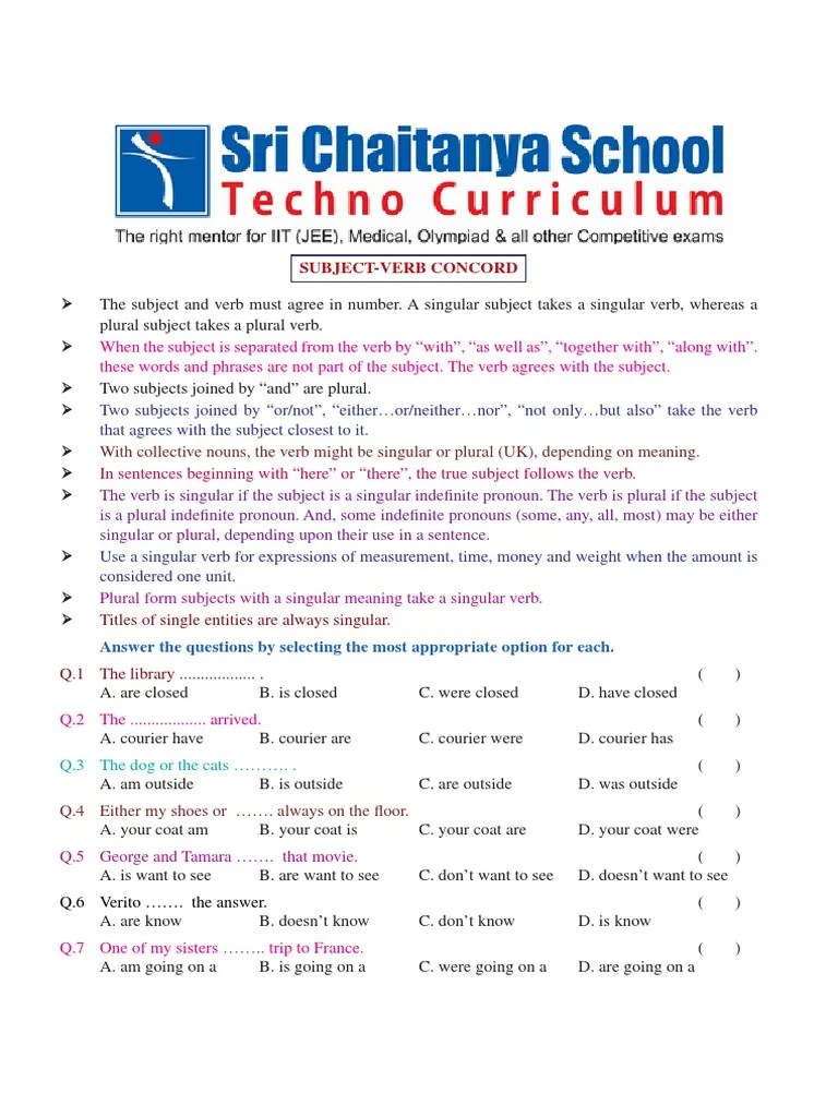 English Worksheet | PDF | Grammatical Number | Verb
