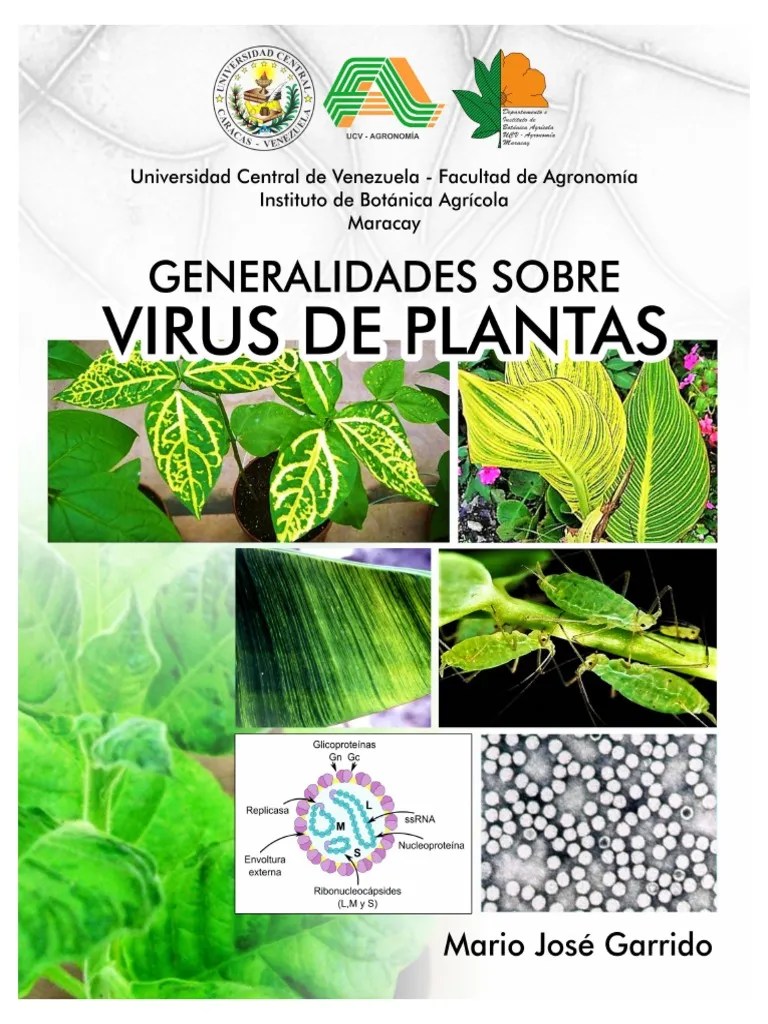 Generalidades Virus De Plantas 2018 | PDF | Virus | Rna