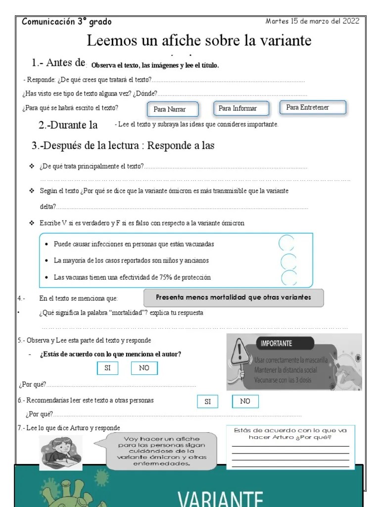 Leemos Un Afiche | PDF