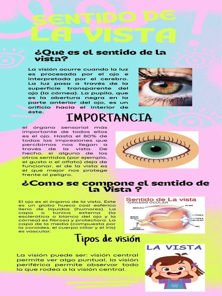 Sentido De La Vista | PDF