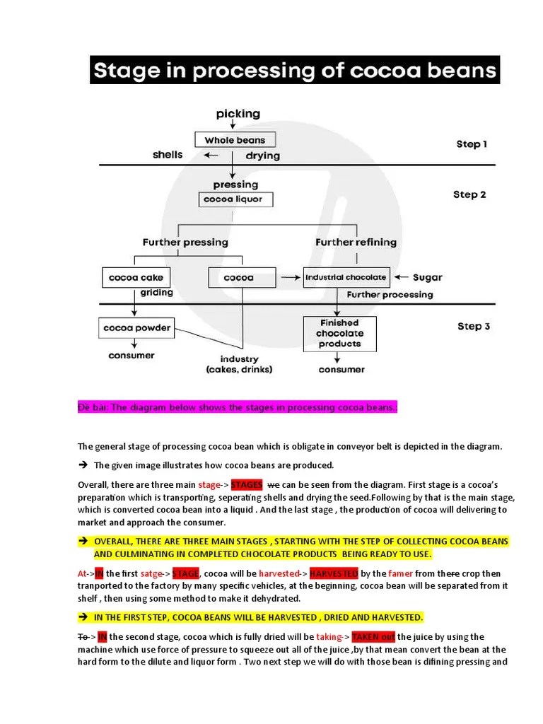 Đề Bài: The Diagram Below Shows The Stages In Processing Cocoa Beans. | PDF | Chocolate | Cocoa Bean