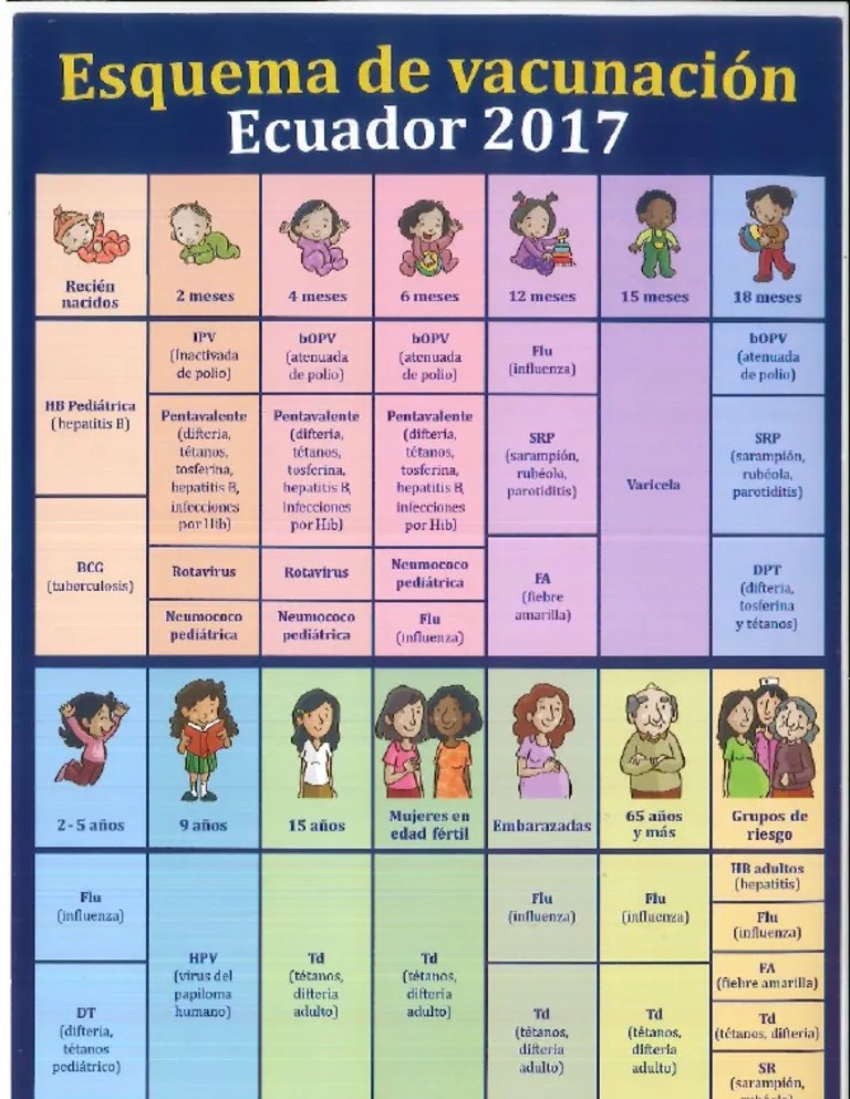 Esquema De Vacunación | PDF
