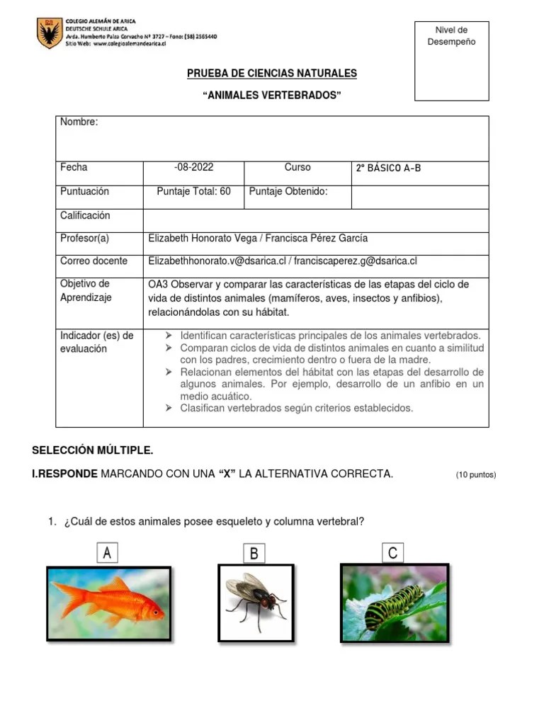 Evaluación Ciencias 2° Básico Vertebrados | PDF | Vertebrados | Piel