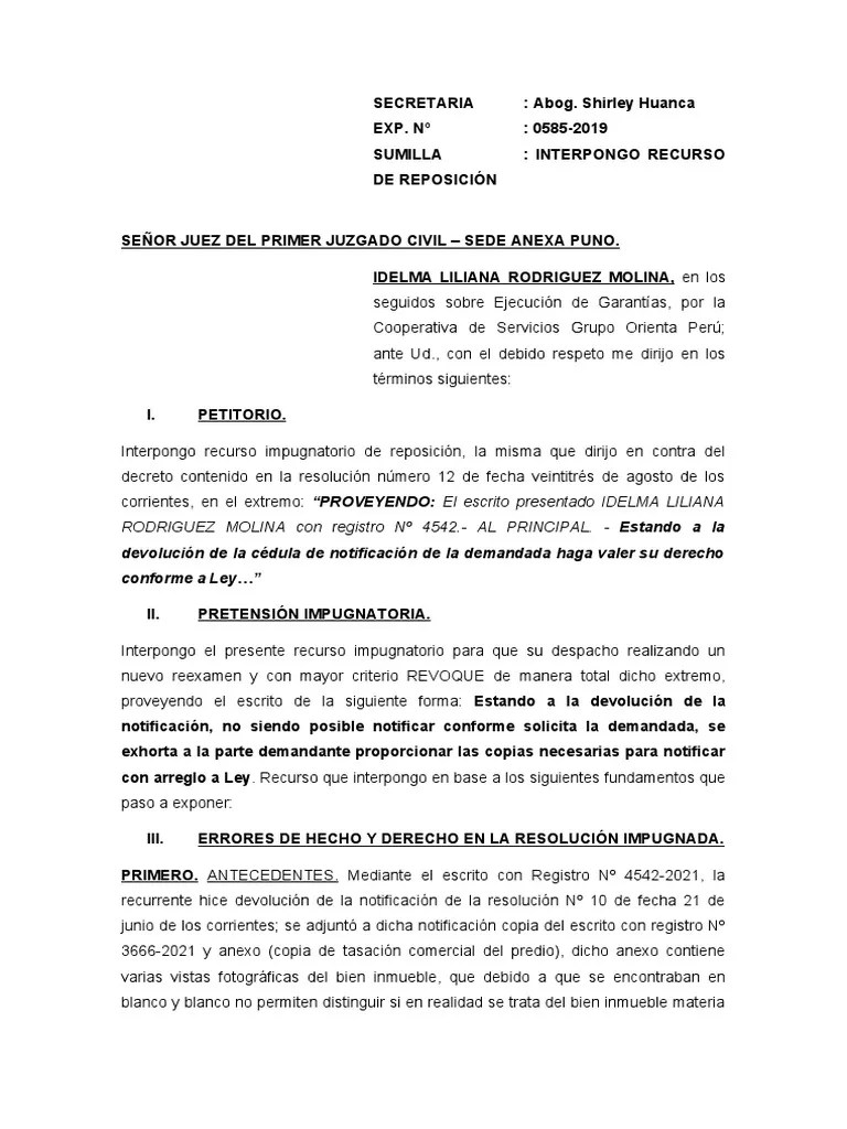 Recurso De Reposicion 1 | PDF | Debido Al Proceso | Ley Procesal