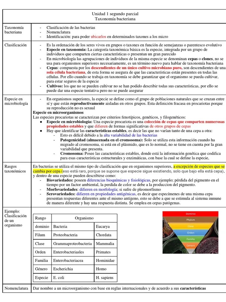 Taxonomia Y Nomenclatura Bacterias | PDF | Las Bacterias | Taxonomía (biología)