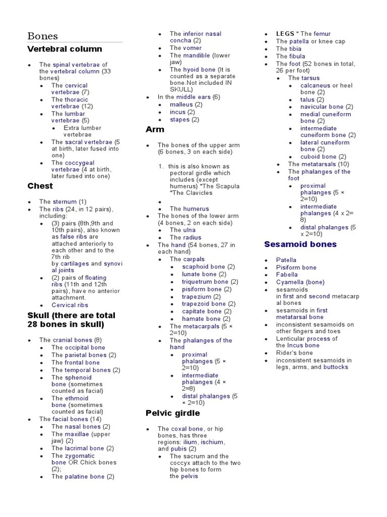 List Of 206 Bones | PDF | Vertebra | Hand