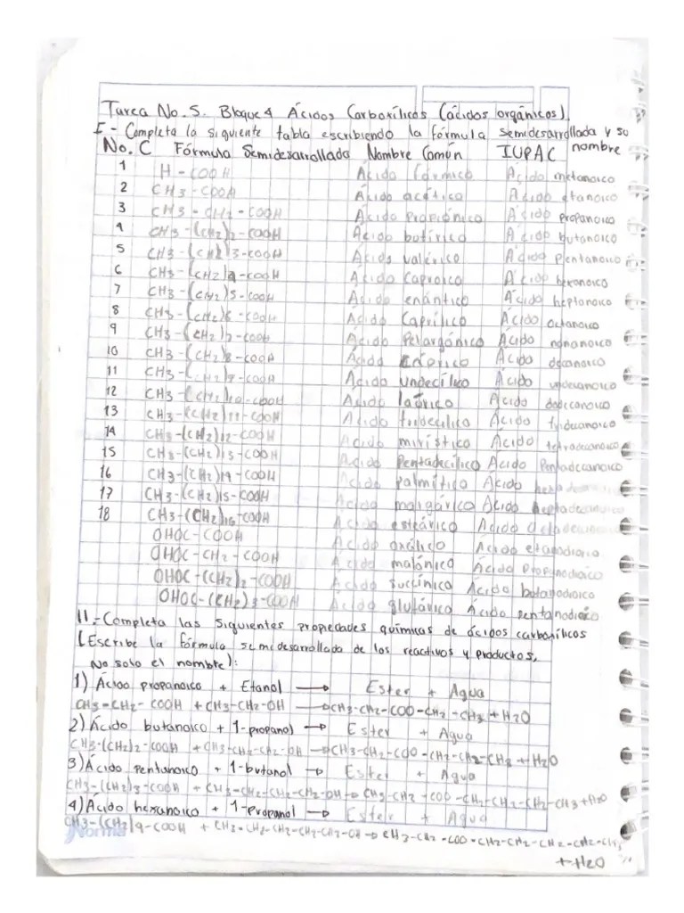 Tarea 5 Bloque 4 Acidos Carboxilicos | PDF
