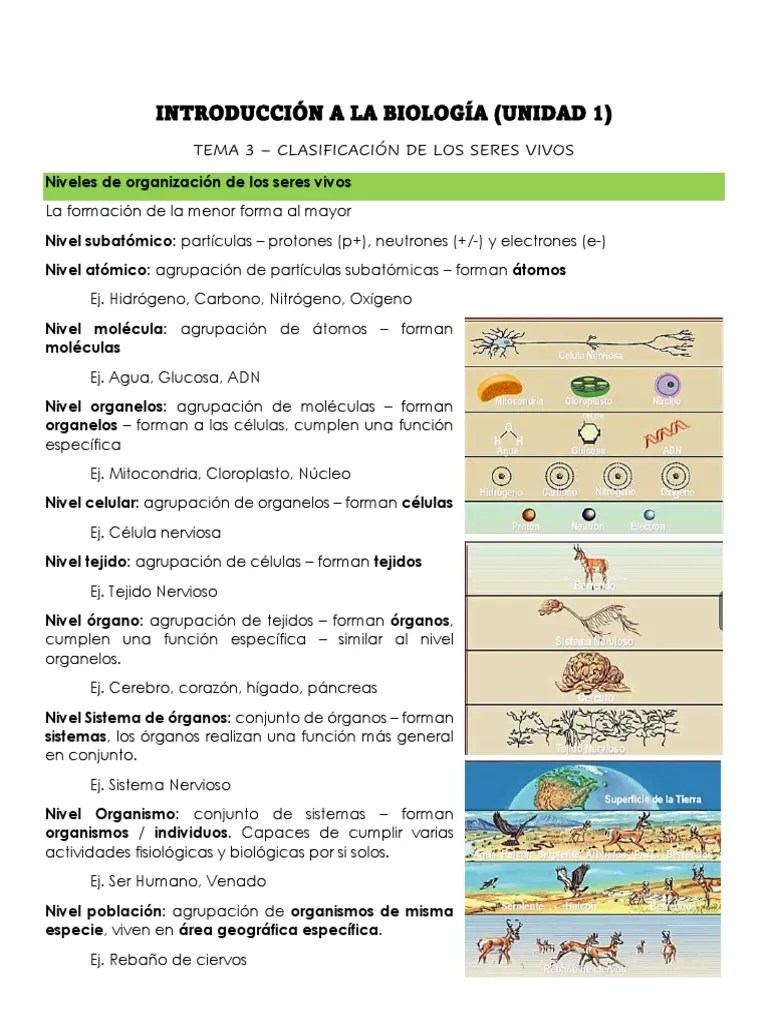 Introducción A La Biología - Tema 3 Clasificación De Los Seres Vivos | PDF | Organismos | Eucariotas