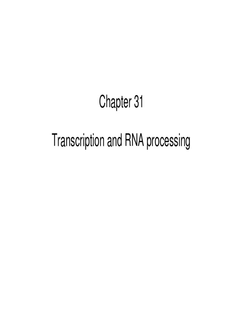 Transcription & RNA Processing | PDF | Rna | Promoter (Genetics)