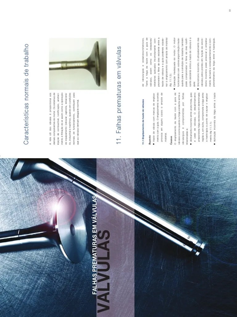 Manual Mahle Falhas Prematuras - Válvulas | PDF | Motor De Combustão Interna | Motores